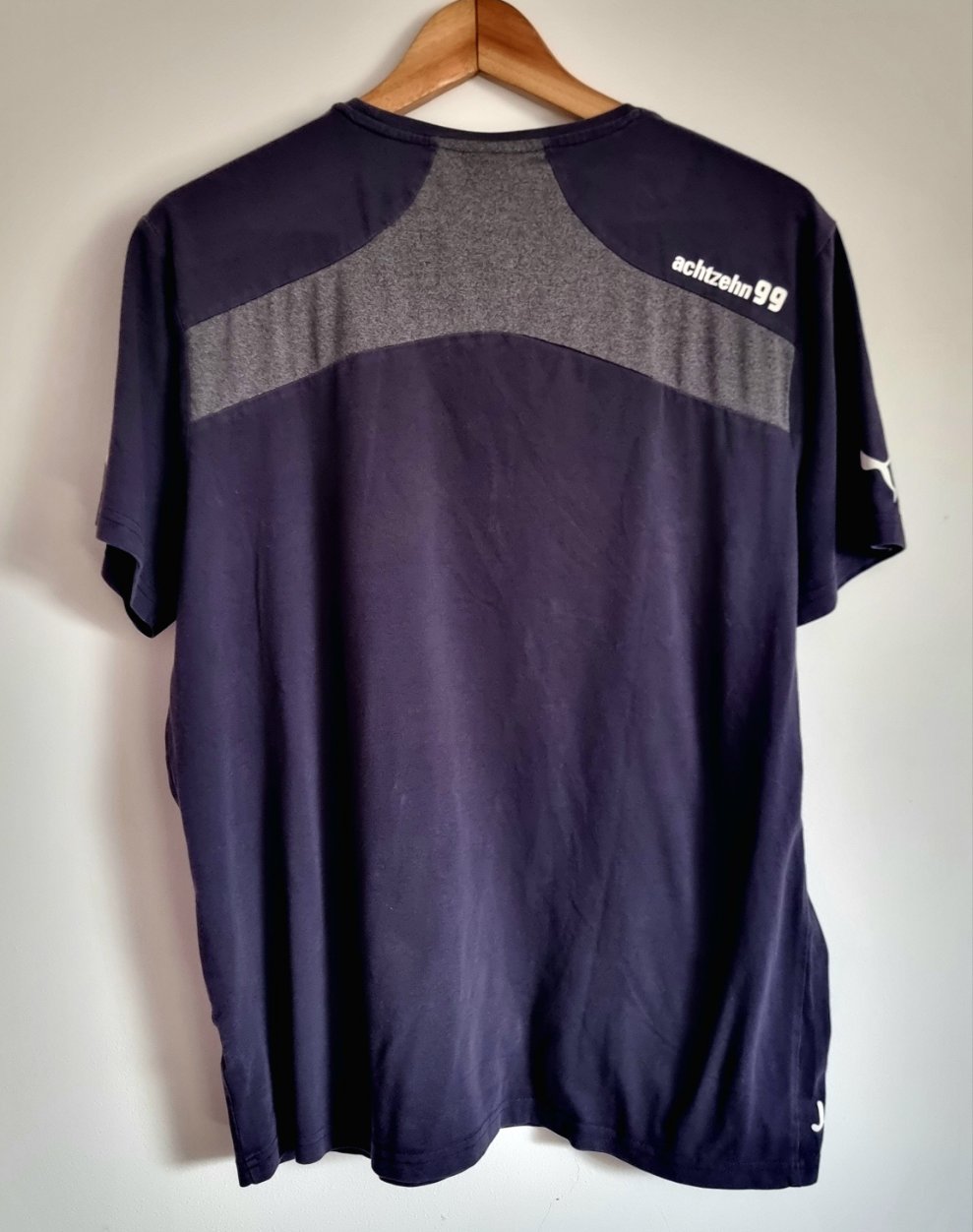 Puma 1899 Hoffenheim Training Top Large