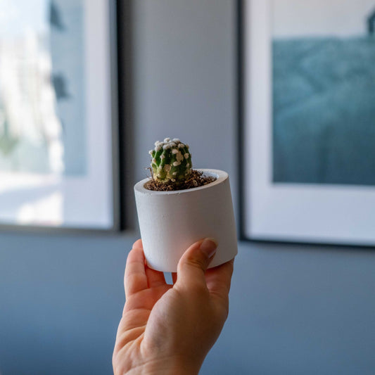WHITE CONCRETE CYLINDER TEALIGHT HOLDER, CONCRETE CYLINDER POT