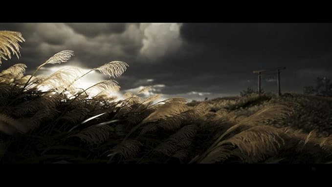 Playstation GHOST OF TSUSHIMA DIRECTOR'S CUT- PS5 [windows_xp,windows_vista,windows_7] [unknown_format]