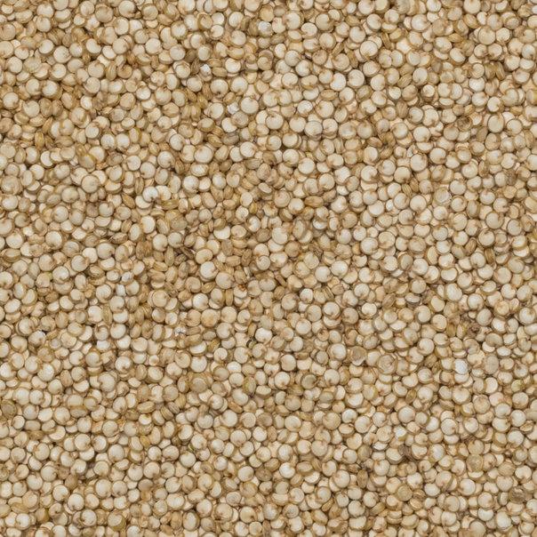 Organic Quinoa Grain